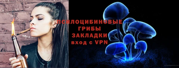 крисы Нязепетровск