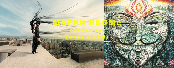 ПСИЛОЦИБИНОВЫЕ ГРИБЫ Няндома