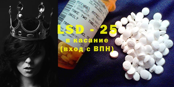 ПСИЛОЦИБИНОВЫЕ ГРИБЫ Няндома