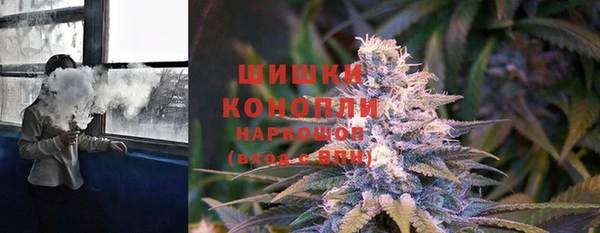 ПСИЛОЦИБИНОВЫЕ ГРИБЫ Няндома